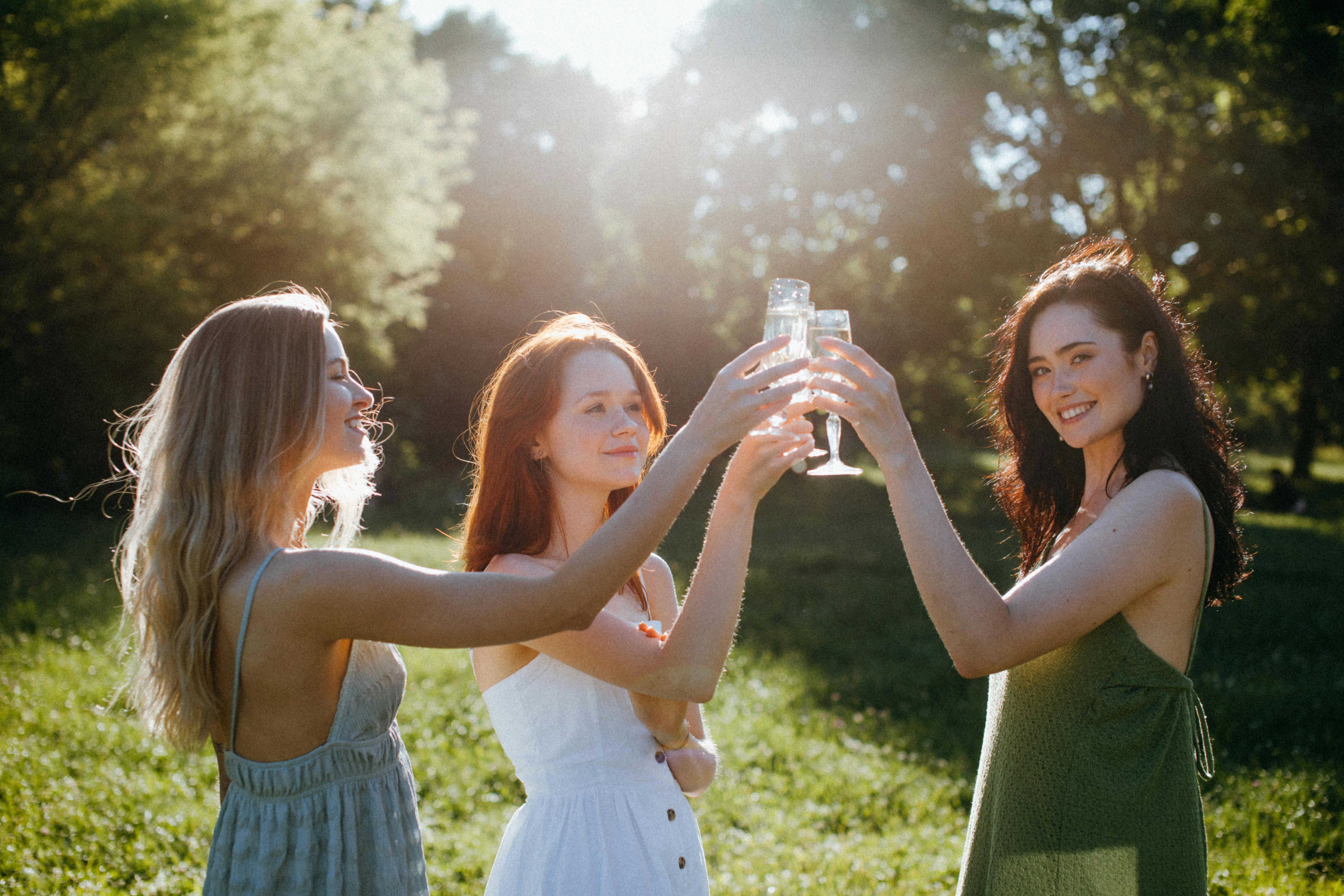 three elegant friends - networking